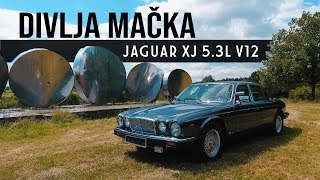 DIVLJA MAČKA SA DVA REZERVOARA! Jaguar XJ 5.3l V12