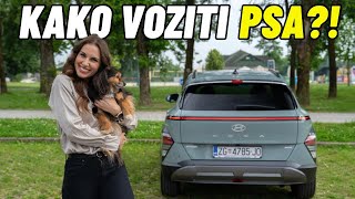 Kako ispravno i sigurno voziti psa u autu? - by Uniqa osiguranje